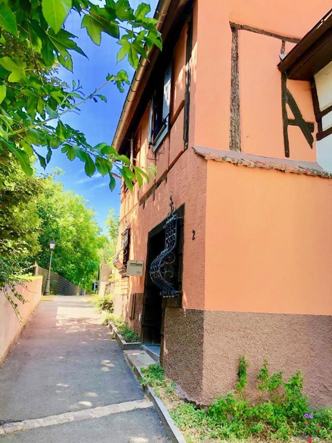 Gite "Rempart Sud" A Ribeauville Екстериор снимка